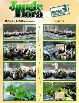 Jungle Flora Extreme Concentrate 4.2 oz. | New Overstock Manifested Loads